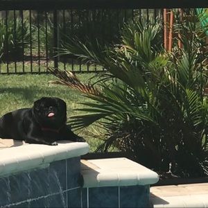 Meet your Posher, Fred